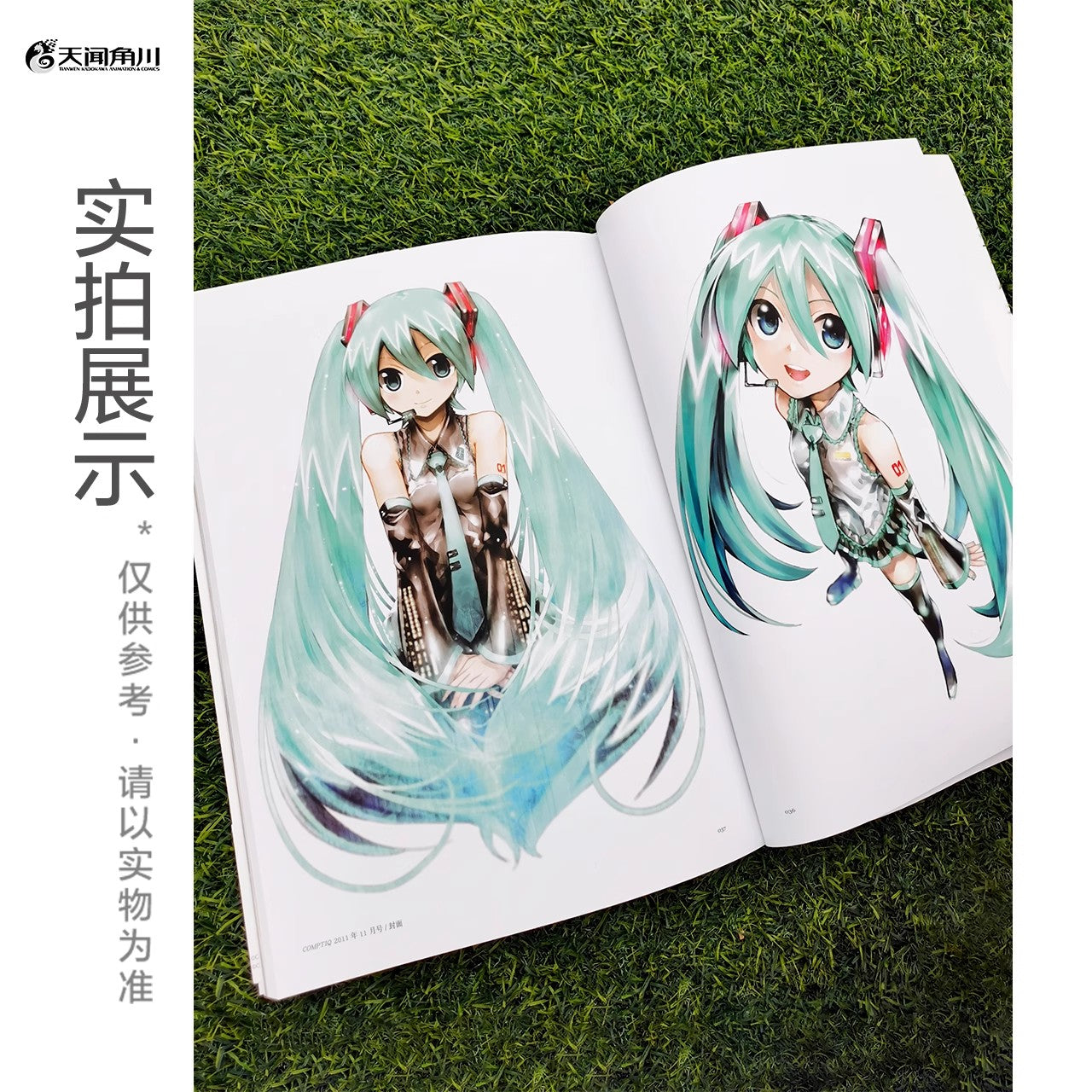 Hatsune Miku Kei Art Works Mikucolor