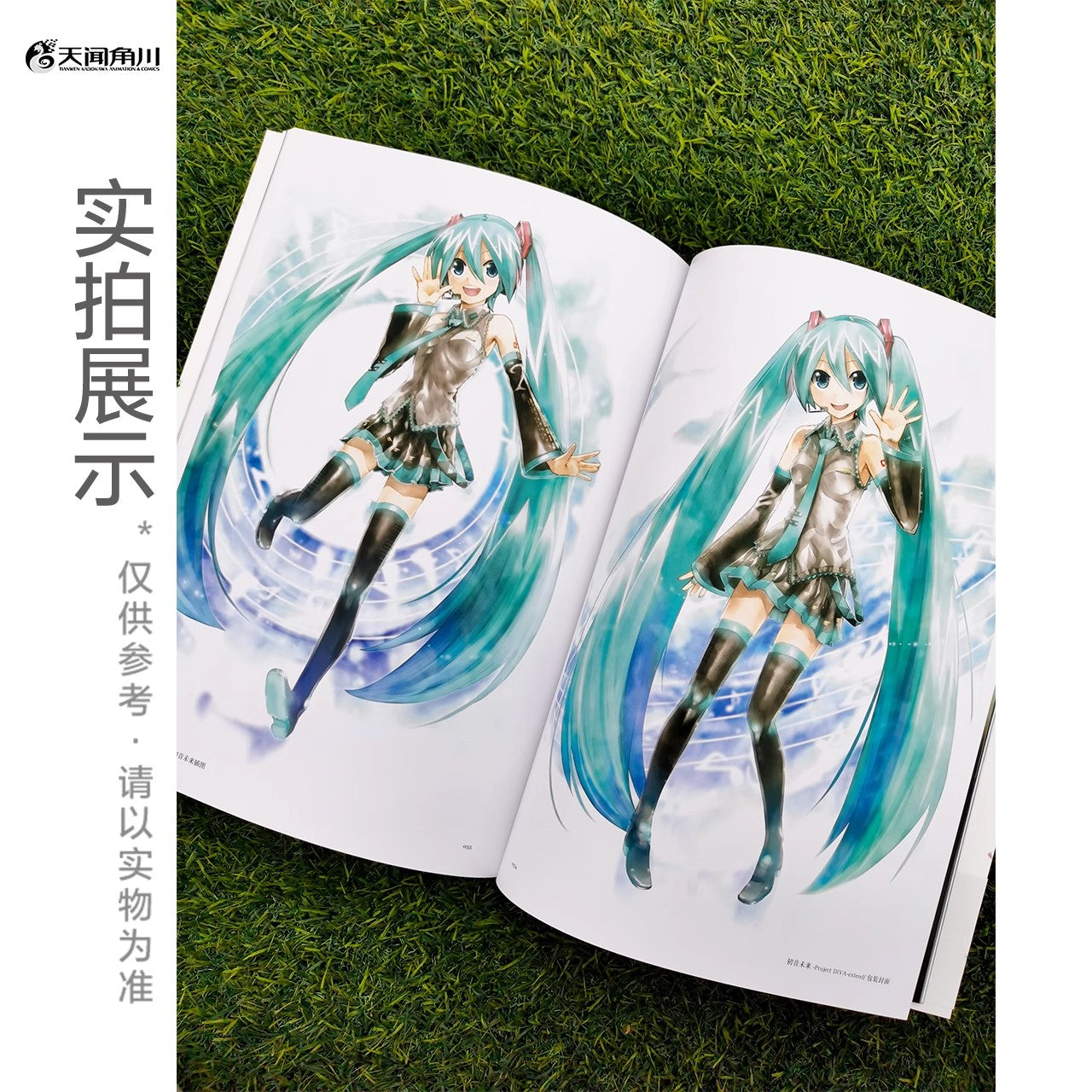 Hatsune Miku Kei Art Works Mikucolor